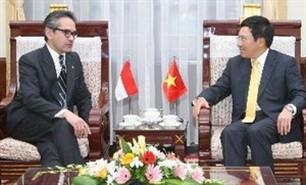 Vietnam and Indonesia vow to strengthen ASEAN’s role - ảnh 1